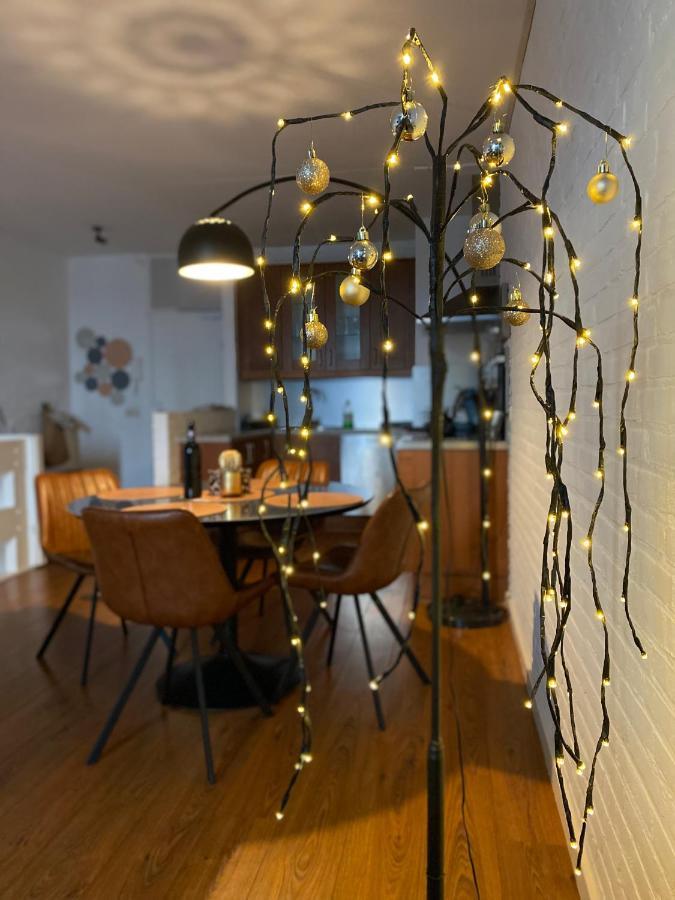 Ijsvogel Apartment, Duplex Family Home 4-Bed Located On The Largest Saltwater Lake Bruinisse Luaran gambar