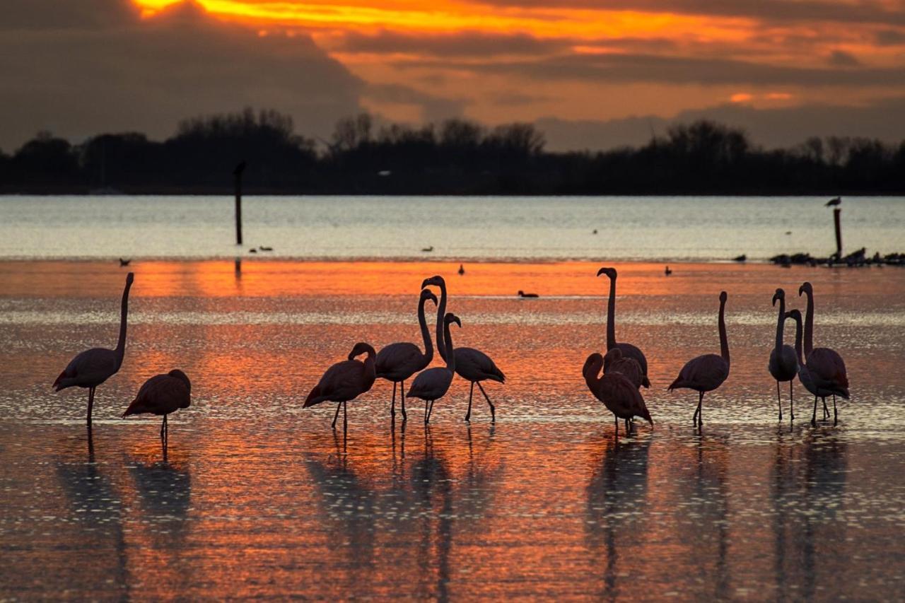 Ijsvogel Apartment, Duplex Family Home 4-Bed Located On The Largest Saltwater Lake Bruinisse Luaran gambar